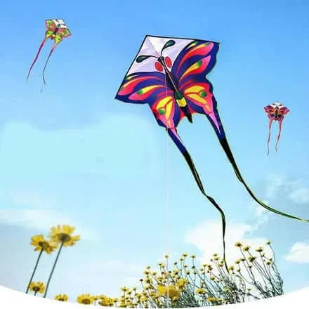 Large Butterfly Kites - Flying Children's Cerf Volant Adulat...