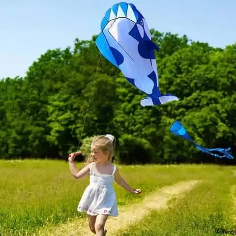 Large Butterfly Kites - Flying Children's Cerf Volant Adulat...