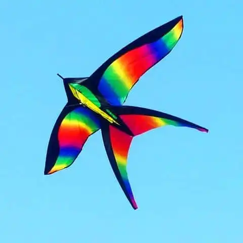Large Butterfly Kites - Flying Children's Cerf Volant Adulat...