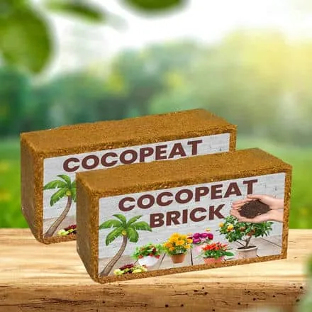 1kg Coco Peat Blocks - Improve Garden Soil Naturally